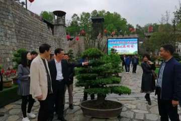 石泉首届盆景花卉展销会开幕