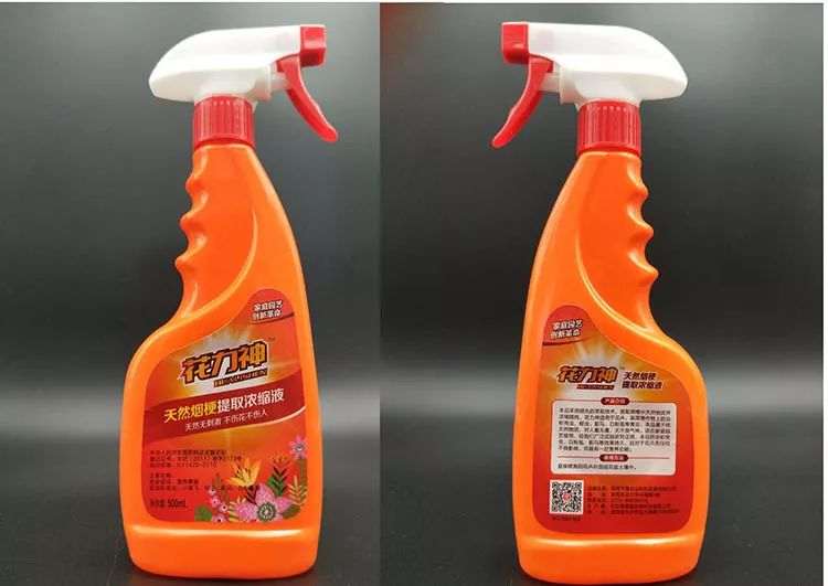 榕树盆景这么养 可以不干枝 不掉叶