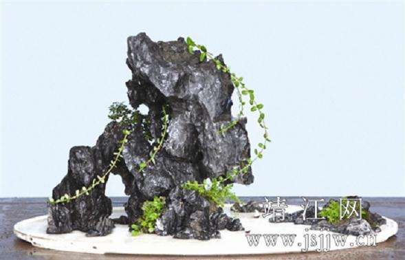 动手制作水石盆景 先要选择材料