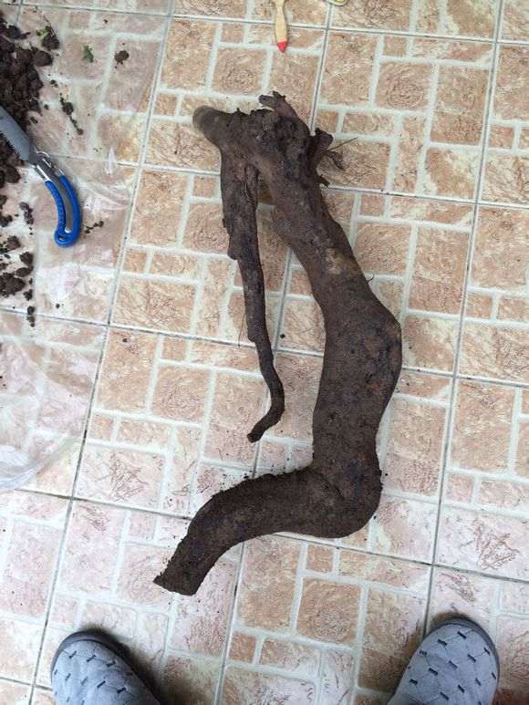 貌似我们湖北没有什么下山桩之类的呀