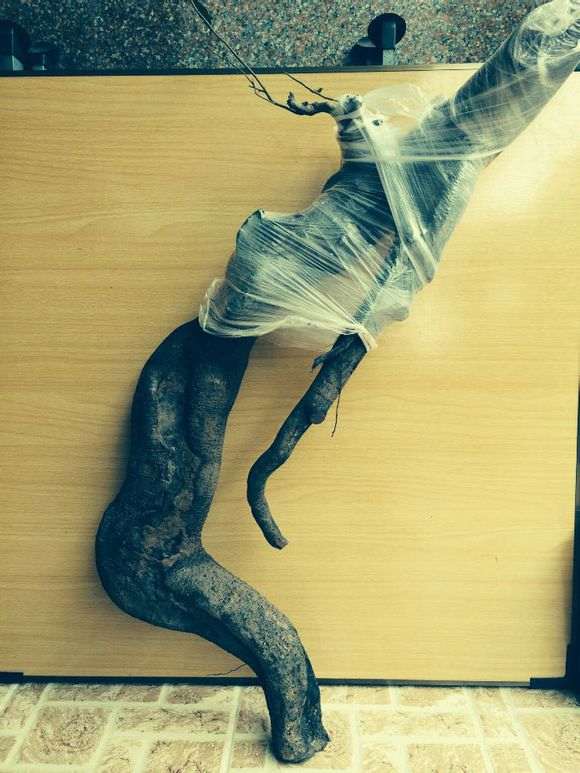 貌似我们湖北没有什么下山桩之类的呀