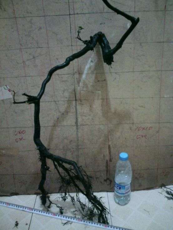 求高手帮忙设计一下金弹子下山桩