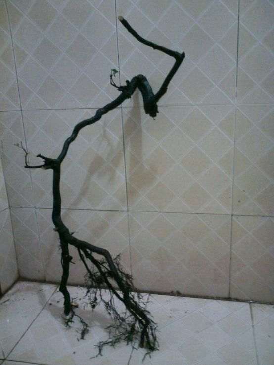 求高手帮忙设计一下金弹子下山桩