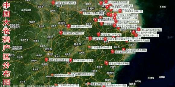 全国金弹子下山桩市场分布图