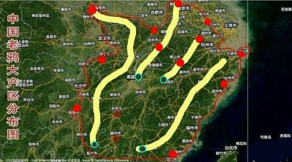 全国金弹子下山桩市场分布图
