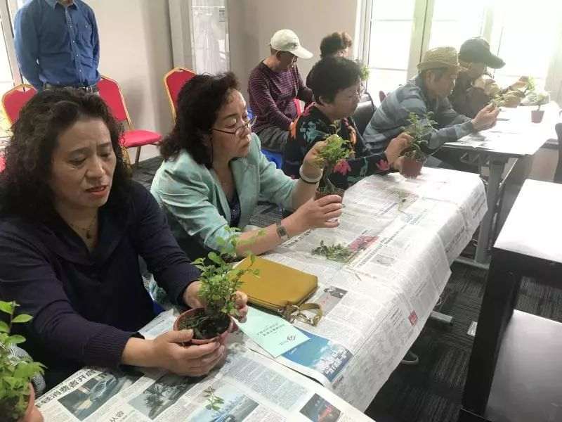 上海盆景赏石协会会长