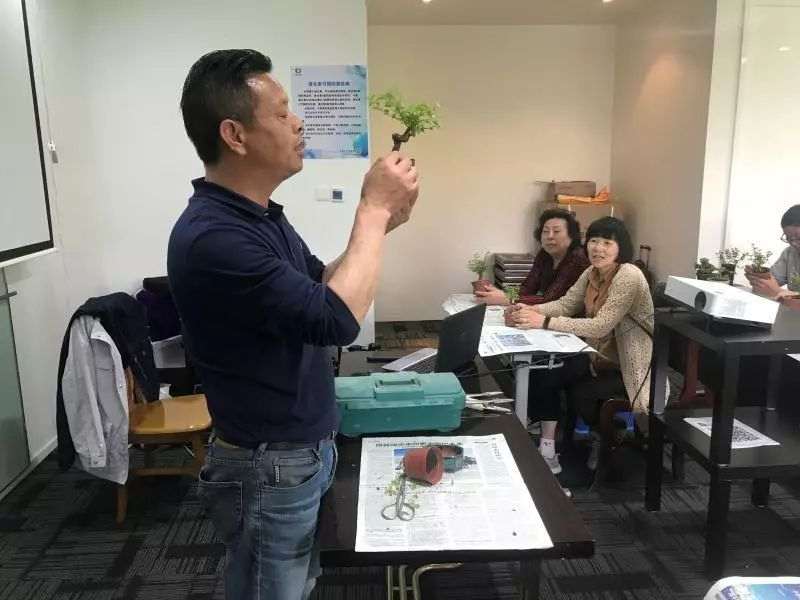 上海盆景赏石协会会长