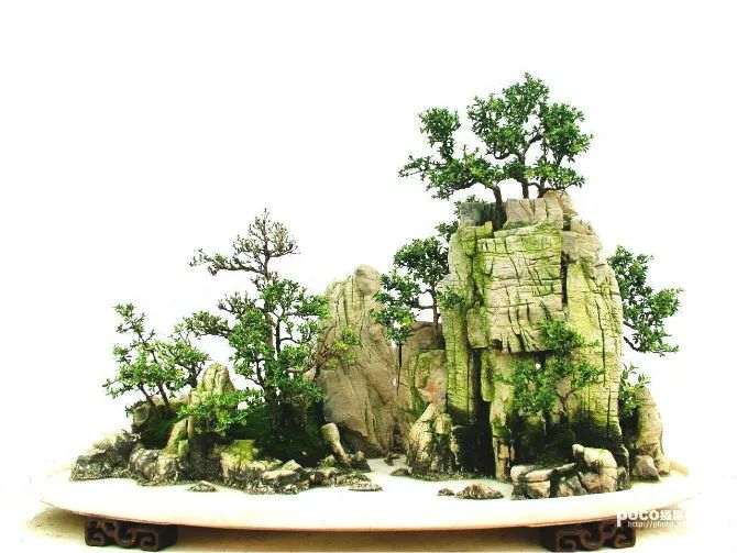 山石盆景怎么欣赏造型的方法 图片