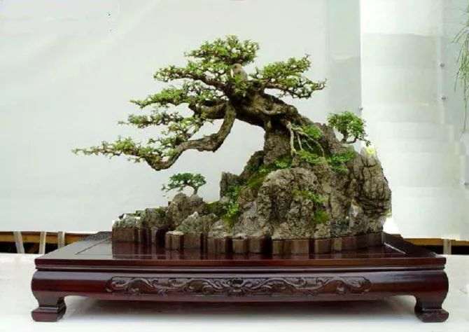 山石盆景怎么欣赏造型的方法 图片