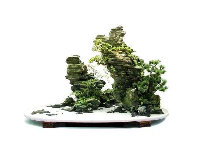山石盆景欣赏有方法