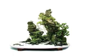 山石盆景怎么欣赏造型的方法 图片