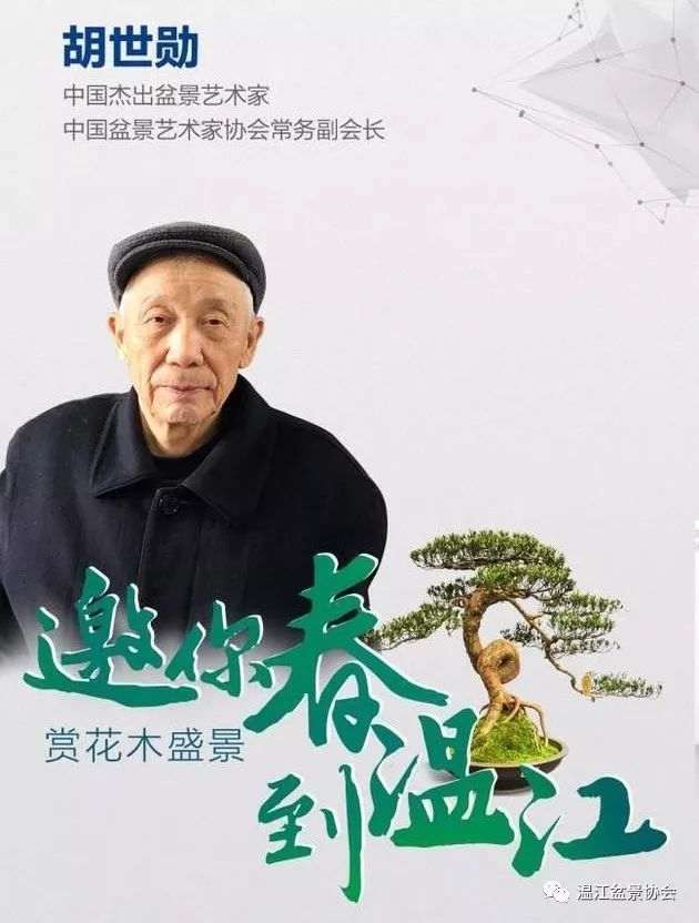 温江盆景协会终身名誉会长胡世勋