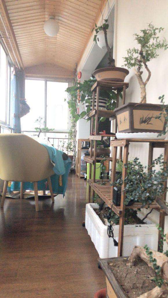 金弹子下山桩怎么处理