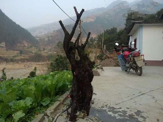 养金弹子下山桩 过来人给出7条忠告