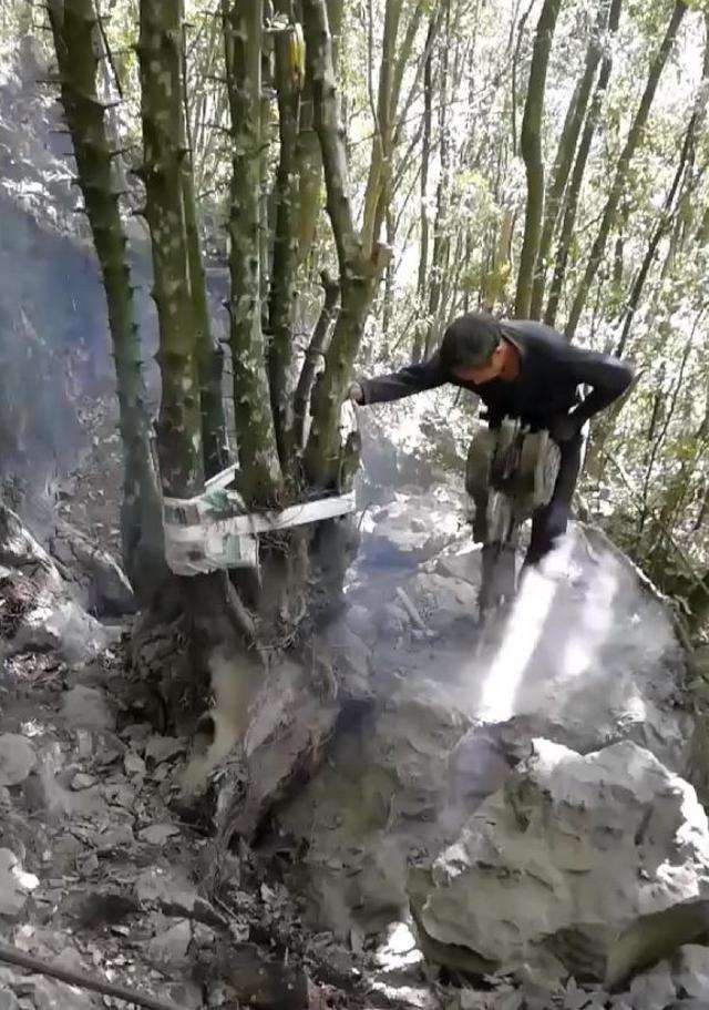 为什么说挖金弹子下山桩 价格卖的贵