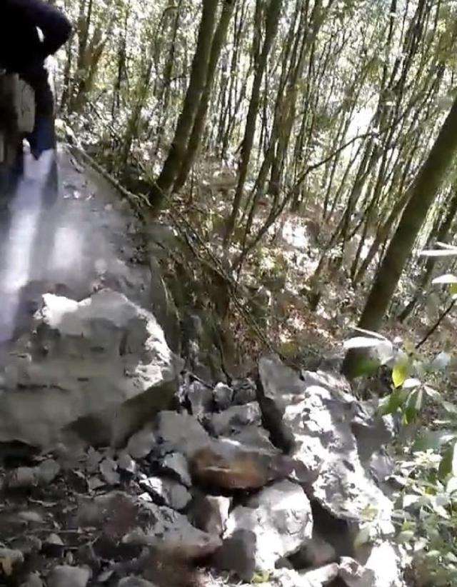 为什么说挖金弹子下山桩 价格卖的贵