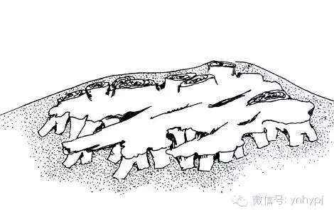 图解 连根式盆景的制作 4幅