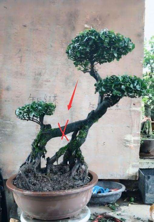 我把金弹子过桥下山桩锯了