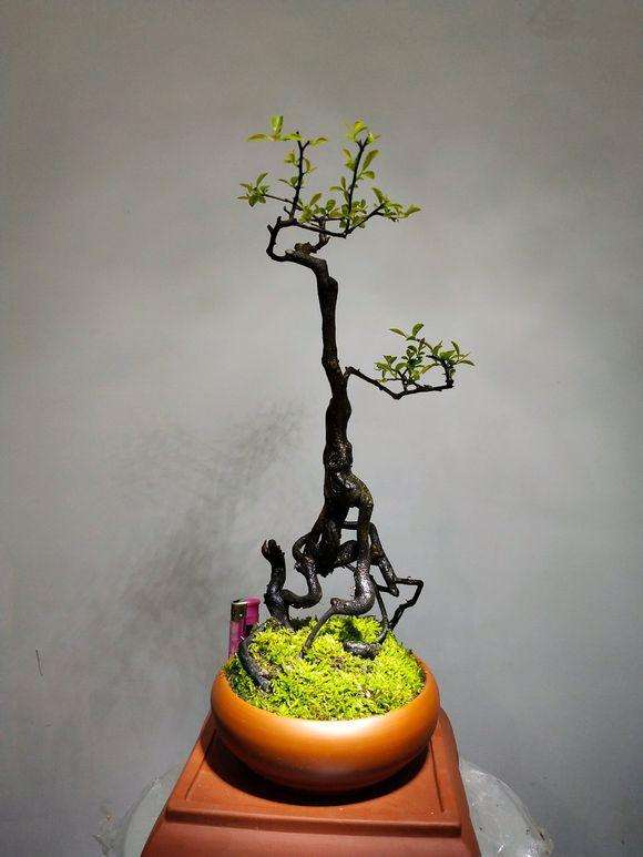 一个金弹子小品下山桩造型图片