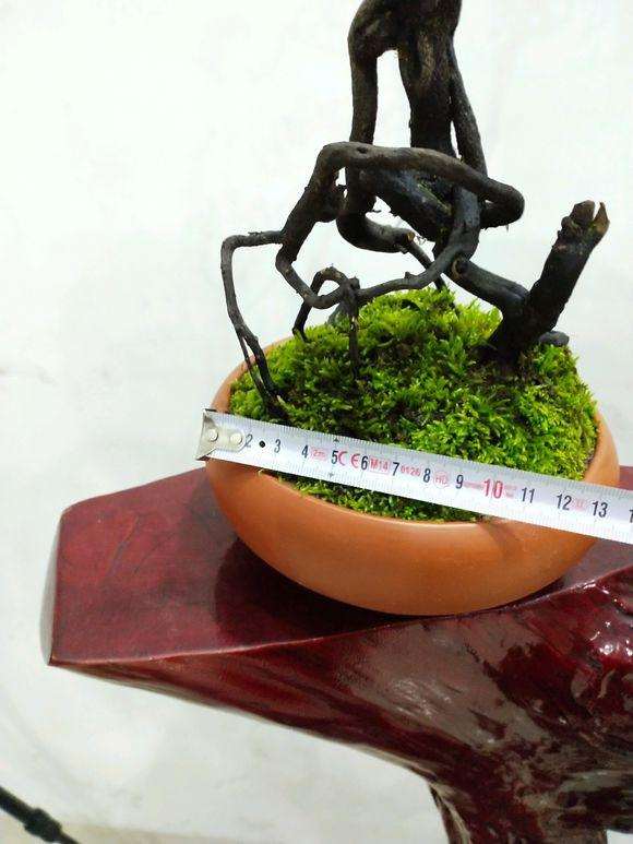 一个金弹子小品下山桩造型图片