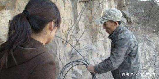 挖掘崖柏下山桩