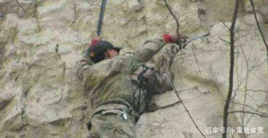 挖掘崖柏下山桩的全过程