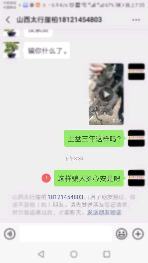 下山桩骗子 一个卖崖柏下山桩的骗子 大家注意