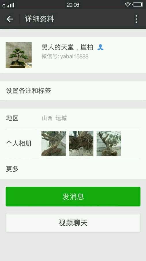 曝光一个卖崖柏下山桩的骗子 