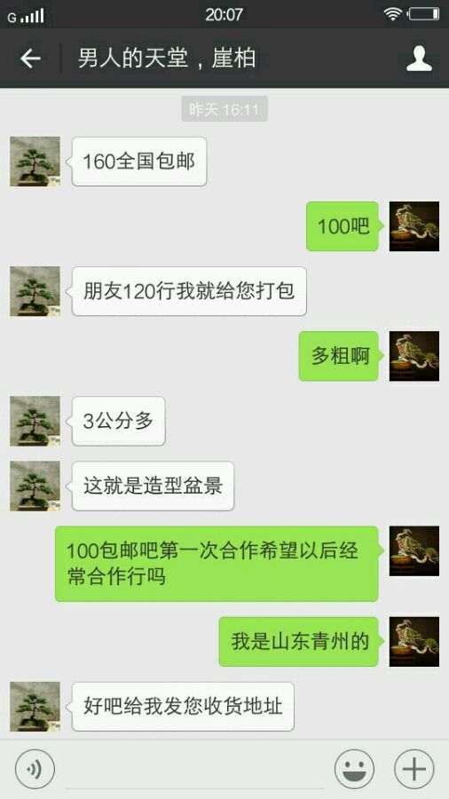 曝光一个卖崖柏下山桩的骗子