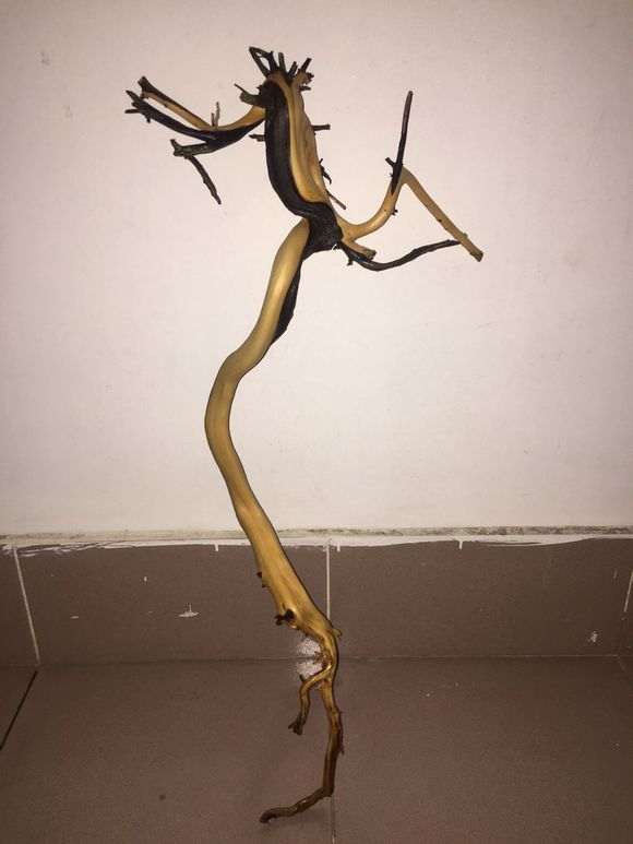 你的崖柏下山桩栽上多久了两三个月左右了