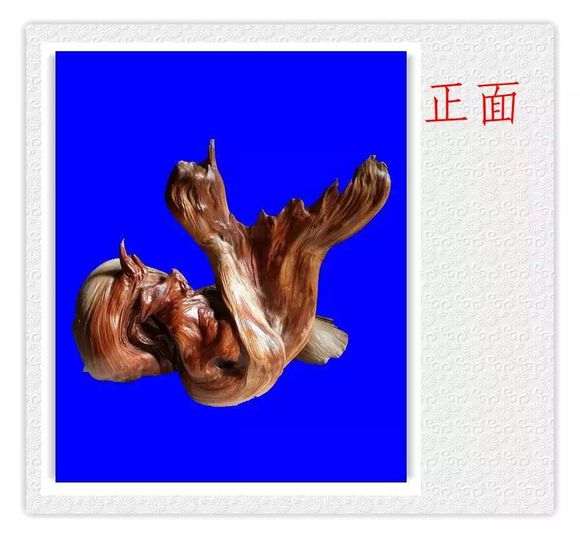 崖柏下山桩玩死了