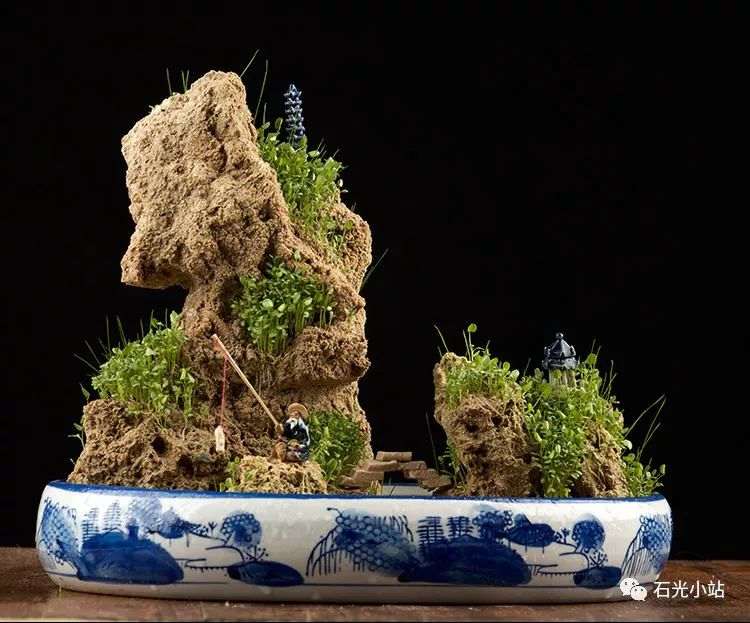 上水石盆景上有虫子怎么办