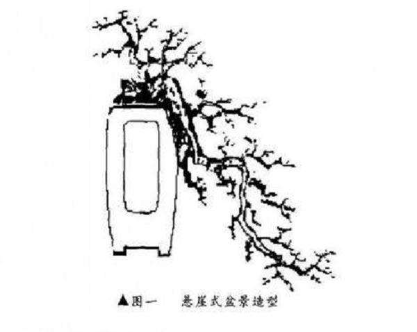 悬崖式盆景怎么制作的方法