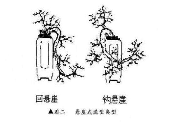 悬崖式盆景怎么制作的方法