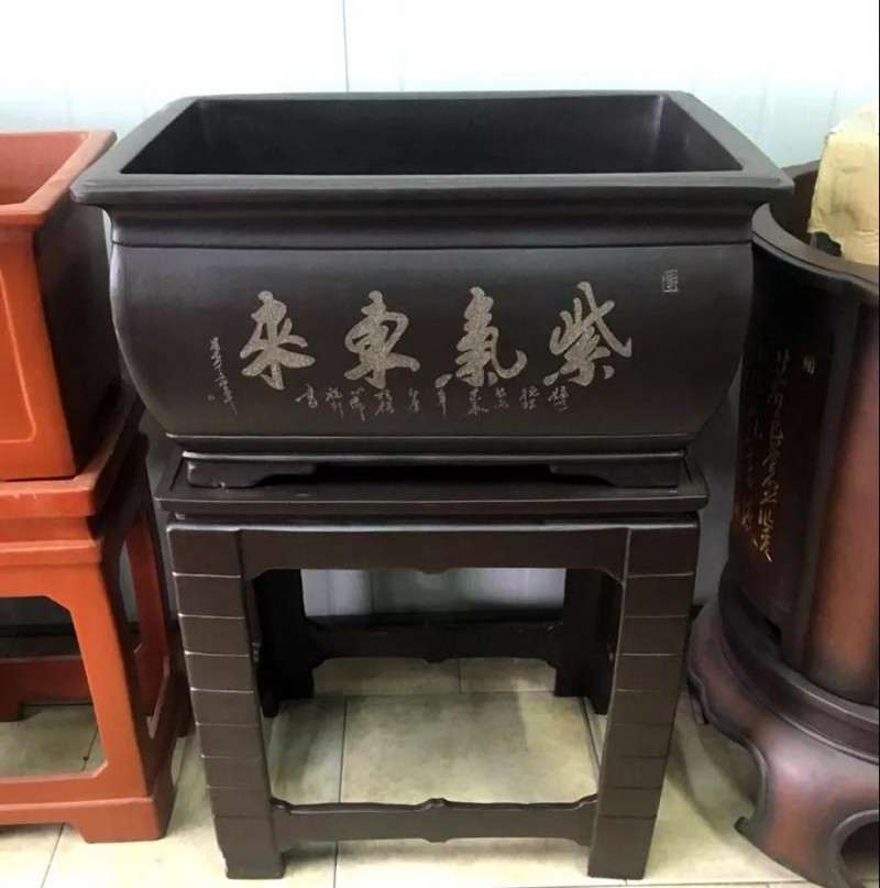 玩盆景怎么使用紫砂盆器 图片