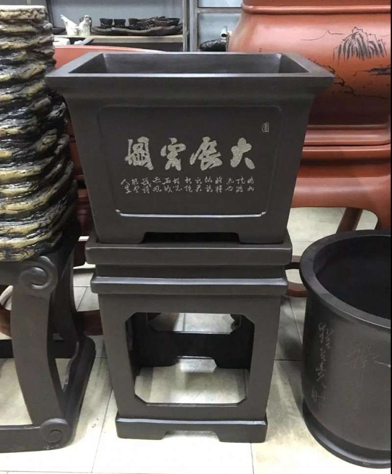 玩盆景怎么使用紫砂盆器 图片