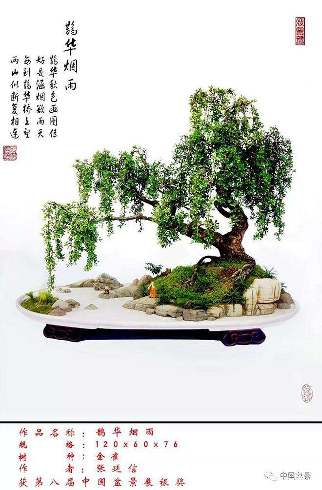 济南盆景艺术促进会副会长