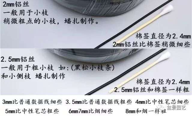 盆景蟠扎线材选择 铜线 铁线 铝线 哪个最好?