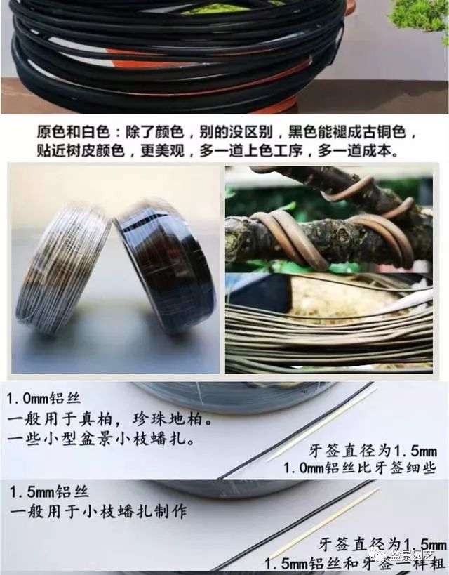 盆景蟠扎线材选择 铜线 铁线 铝线 哪个最好?