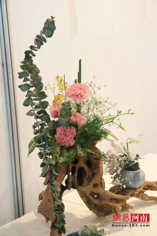 云南昆明花博会盆景展双展联袂首次落地斗南