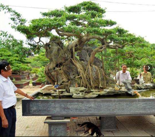 徐州汉霖园盆景批发市场投资估算表