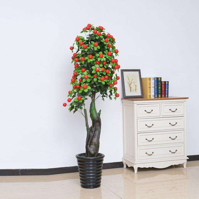 盆景未发芽前土壤浇水量要很小