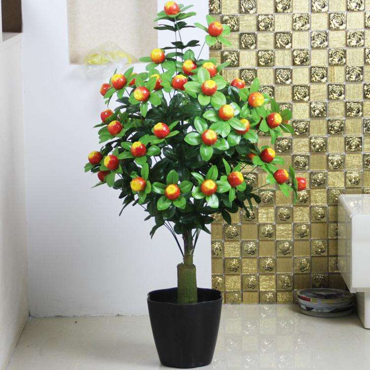 什么是花果盆景正确发芽摘芽的方法