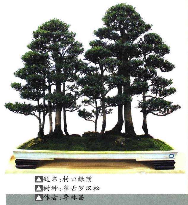 南通市职工盆景协会第二届会员作品