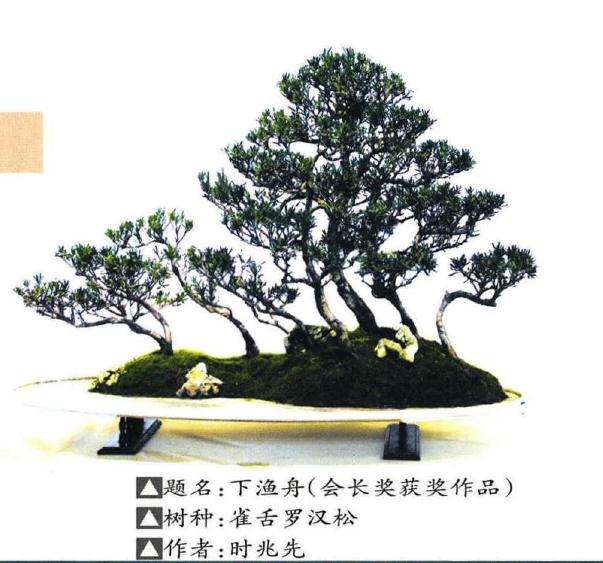 南通市职工盆景协会第二届会员作品