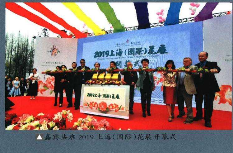 2019年 第二届上海国际青年盆景论坛