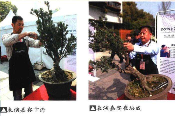 盆景论坛在上海植物大楼报告厅正式举行