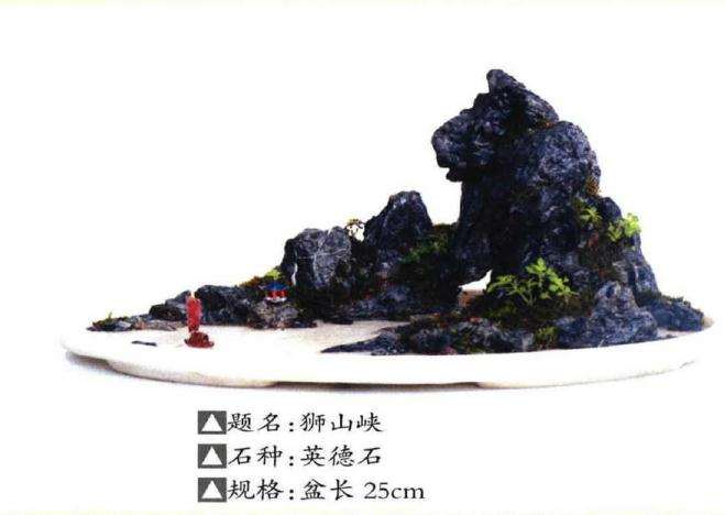 贺淦荪来到深圳市东湖公园盆景世界