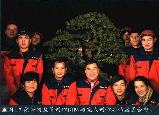 图解 聚松园《密林深处》黑松盆景制作解析