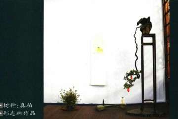 不知不觉 盆景乐园网已经创办10个年头